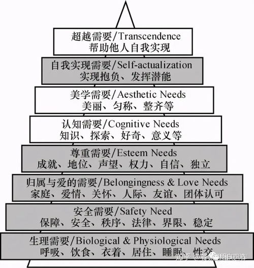 工作目的 從“止痛藥”到“保健藥”——非融資性擔保業(yè)務(wù)的雙重角色