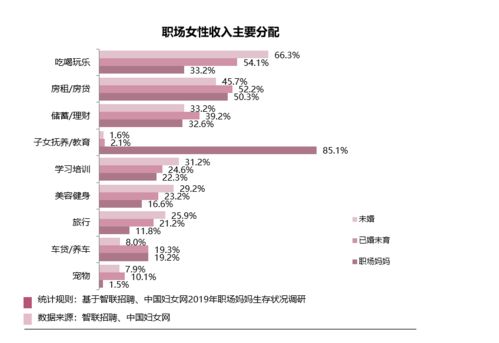 事業(yè)與收入 當(dāng)代職場(chǎng)女性的現(xiàn)實(shí)挑戰(zhàn)與非融資性擔(dān)保業(yè)務(wù)的啟示